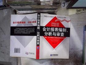 审查企业会计报表 从编制到分析的实践指南