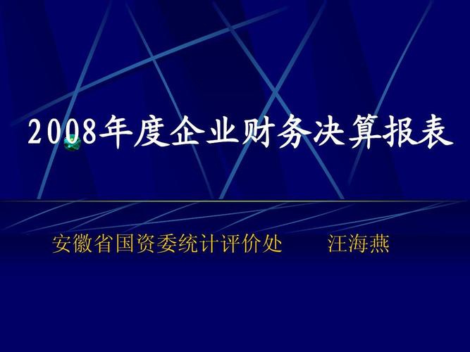 企业效绩评价与2008年度财务决算报表审查要点